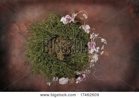 Fantasy Bird Nest Photographer Studio Set (Insert Isolated Client)
