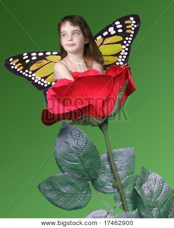 Fantasy Girl in Red Rose With Butterfly Wings