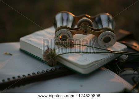 vintage pearl operaglasses and notepads in the sunset light