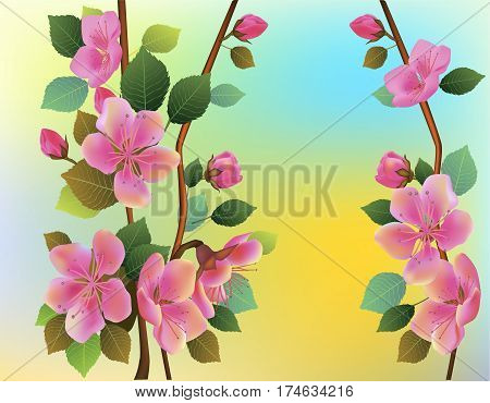 Nature background with blossom branch of pink sakura flowers. Vector template isolated