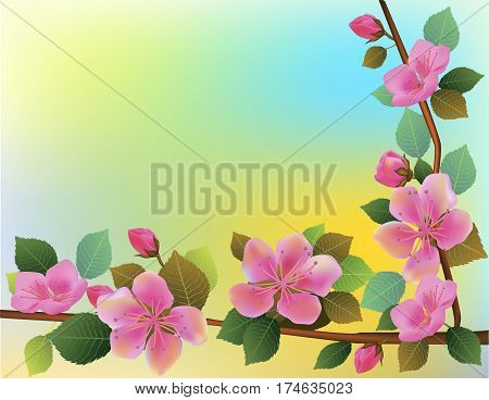 Nature background with blossom branch of pink sakura flowers. Vector template isolated