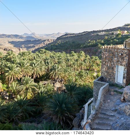 Houses on hill top around a valley full of date palms in Oman