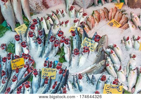 Fish on ice for sale at a market in Istanbul, Turkey