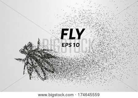 Fly Particles. Fly Vector & Photo (Free Trial) | Bigstock