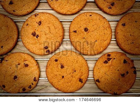 Fresh baked Chocolate chip cookies on a cooling rack over rustic wood background