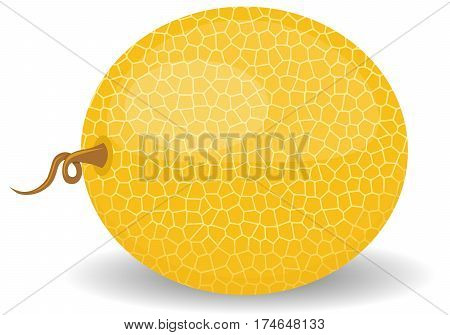 Fresh sweet green melon on white . flat style