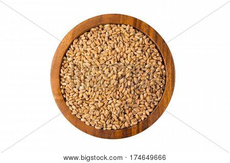 Wheat Grain In Bowl