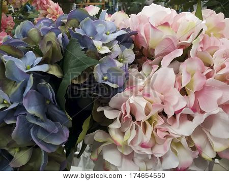 purple and pink flowers in the interior