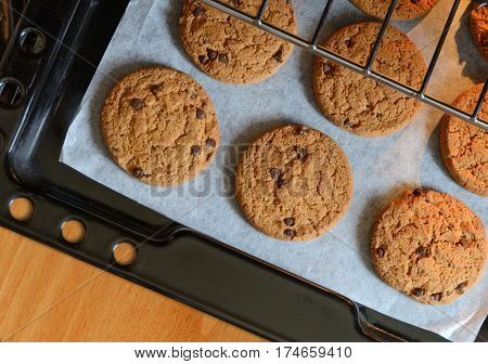 Freshly Baked homemade Chocolate chip cookies on baking pan.