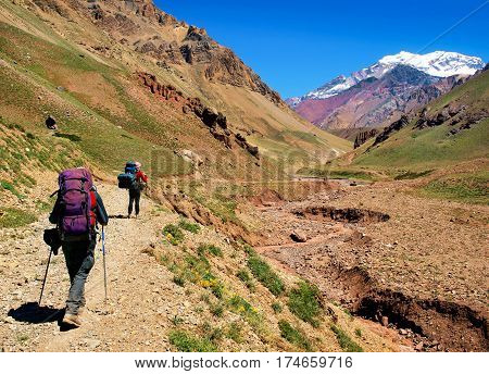 Hikers on their way to Aconcagua as seen in the background Aconcagua National Park Argentina South America