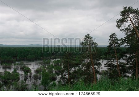landscape with green grass and trees, water and sky