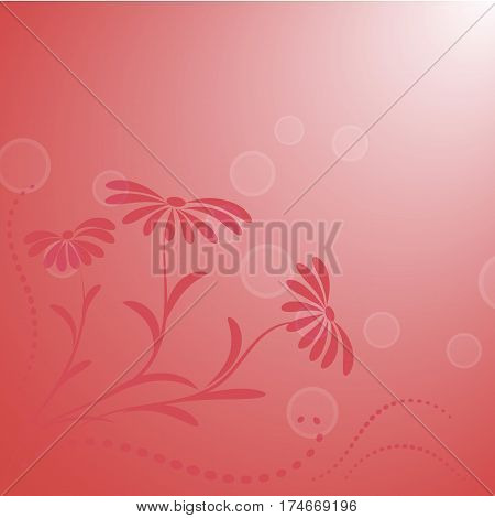 Three chamomiles on stalks on a coral background