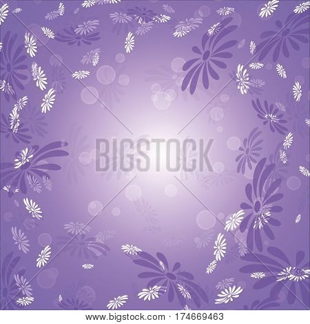 Purple and white daisies on a lilac background
