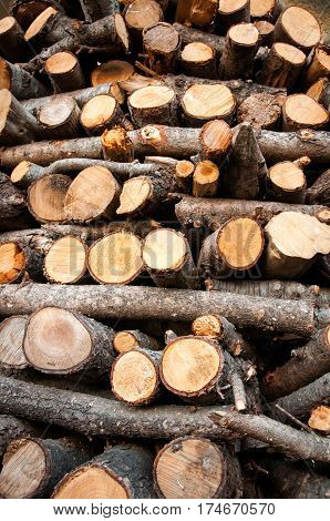 a wood pile texture	eady for a fire