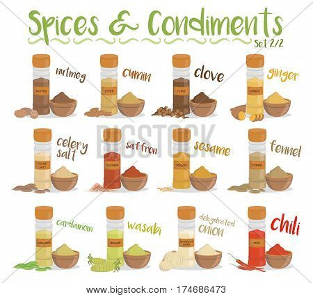 Set of 12 different culinary species and condiments in cartoon style. Set 2 of 2