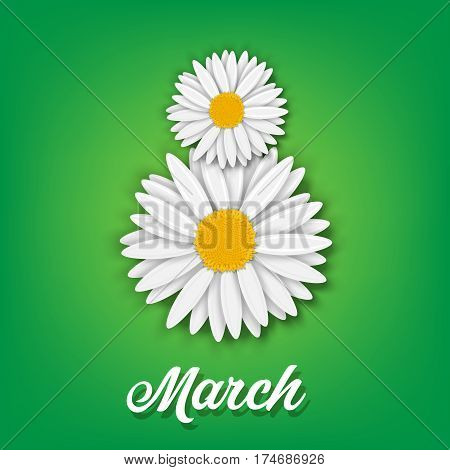 8 March Art. Chamomile. Holiiday. Vector illustration