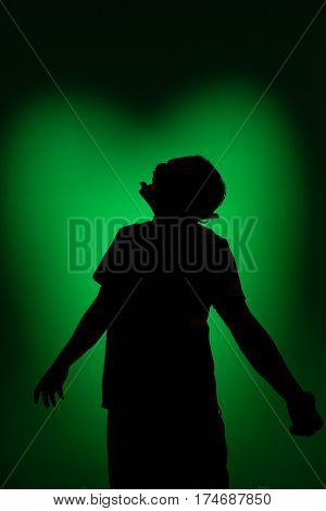 The head of the circus. Meet the evil ringleader that was brought to life using special effects, theatrical lighting, and custom sculpted masks,