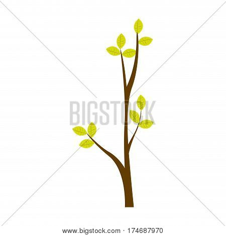 colorful ramification with leaves nature design vector illustration