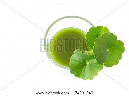 Closeup top view Gotu kola's leafs drink on white background health care and herb medical concept