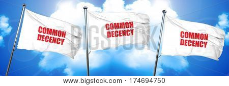 common decency, 3D rendering, triple flags