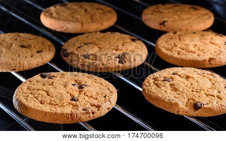 Homemade Chocolate chip cookies baking on rack in home oven. Close up selective focus