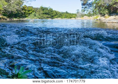 Kerikeri River rapide and surrounding rock and bush just out of Kerikeri on Kerikeri River in Bay of Islands