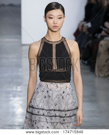 Carolina Herrera - Fall 2017 Collection