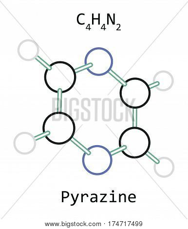 molecule C4H4N2 Pyrazine isolated on white in vector