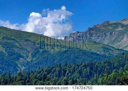Landscape of subalpine mountain meadow and forest in Caucasus, Russia