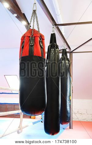 Interior of a boxing hall