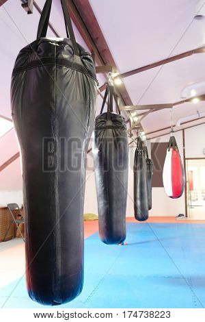 Interior of a boxing hall