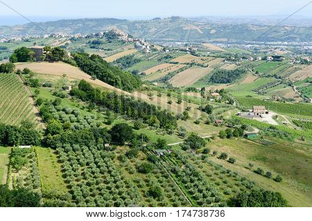 Country rural landscape in Marche on Italy
