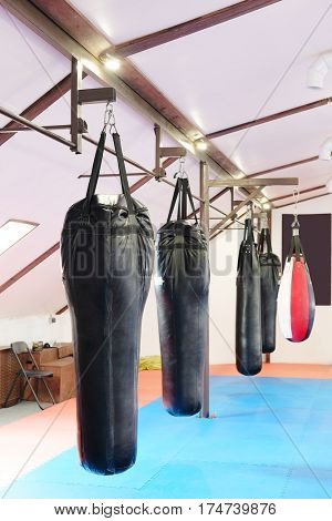 Interior of a boxing hall