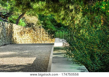 Paved pathway in a park green trees with dangling branches shadow and sunlight stone wall tranquil atmosphere summertime