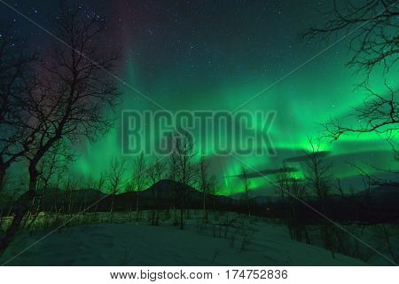 Aurora Borealis in Lapland northen lights phenomenon.