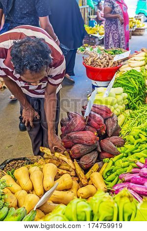 Choose The Vegetables For Dinner