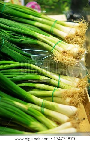 Bunches of fresh spring green scallion onions on retail farmers market display, close up