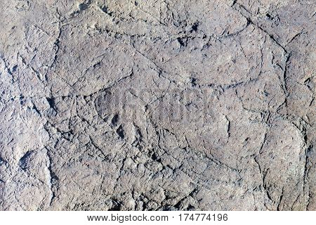 Close Up Of Cracked Rock Fragment
