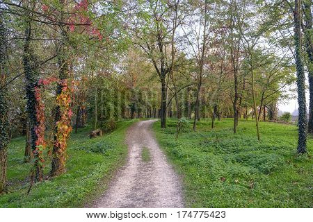 Lambro valley (Monza Brianza Lombardy Italy): bicycle and pedestrian track in the forest at fall