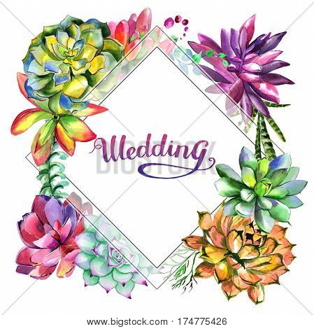 Wildflower succulentus flower frame in a watercolor style isolated. Full name of the plant: succulentus. Aquarelle wild flower for background, texture, wrapper pattern, frame or border.