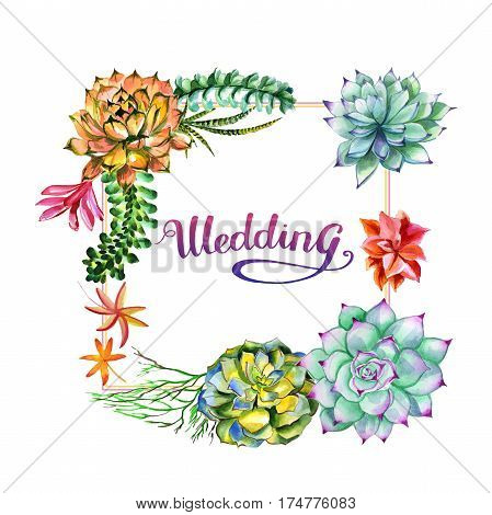 Wildflower succulentus flower frame in a watercolor style isolated. Full name of the plant: succulentus. Aquarelle wild flower for background, texture, wrapper pattern, frame or border.