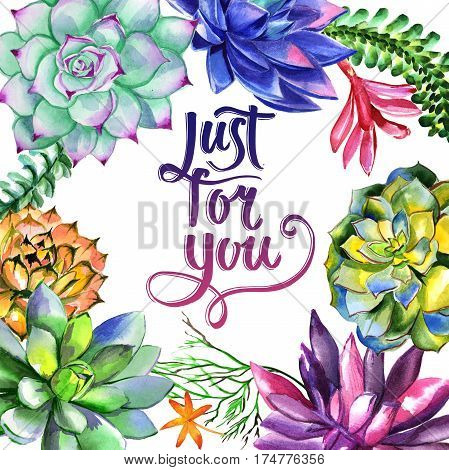 Wildflower succulentus flower frame in a watercolor style isolated. Full name of the plant: succulentus. Aquarelle wild flower for background, texture, wrapper pattern, frame or border.