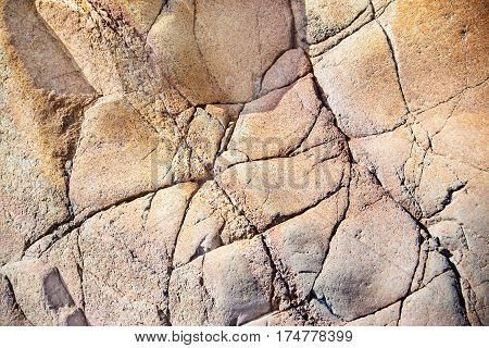 Close Up Of Cracked Rock Fragment