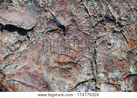 Close Up Of Cracked Rock Fragment