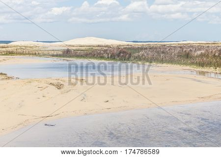 Dunes At Mostardas Beach