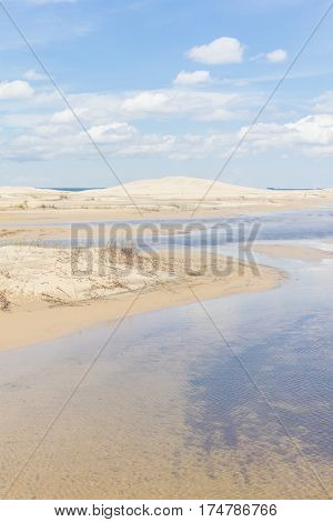 Dunes, vegetation and puddle of Mostardas beach