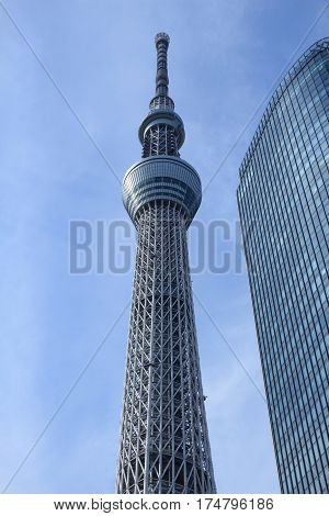 Tokyo Landmark