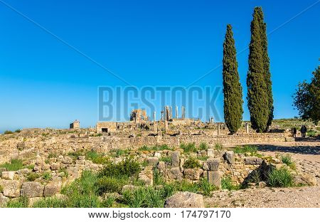 Ruins of Volubilis, a Berber and Roman city in Morocco. UNESCO world heritage site