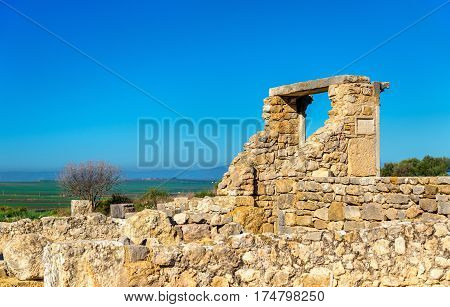 Ruins of Volubilis, a Berber and Roman city in Morocco. UNESCO world heritage site