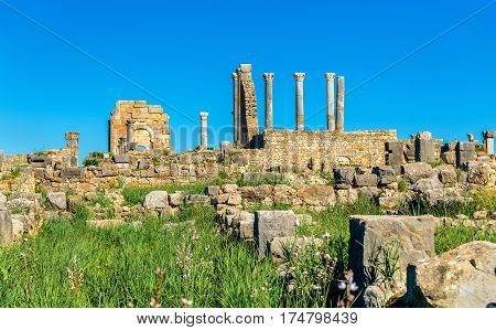 Ruins of Volubilis, a Berber and Roman city in Morocco. UNESCO world heritage site